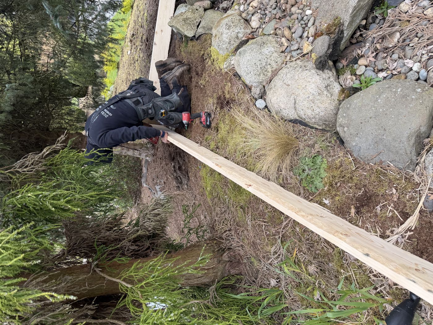 A Durak Homes carpenter fixing a fir beam to a post with an impact driver, working under a cedar at the edge of a garden.